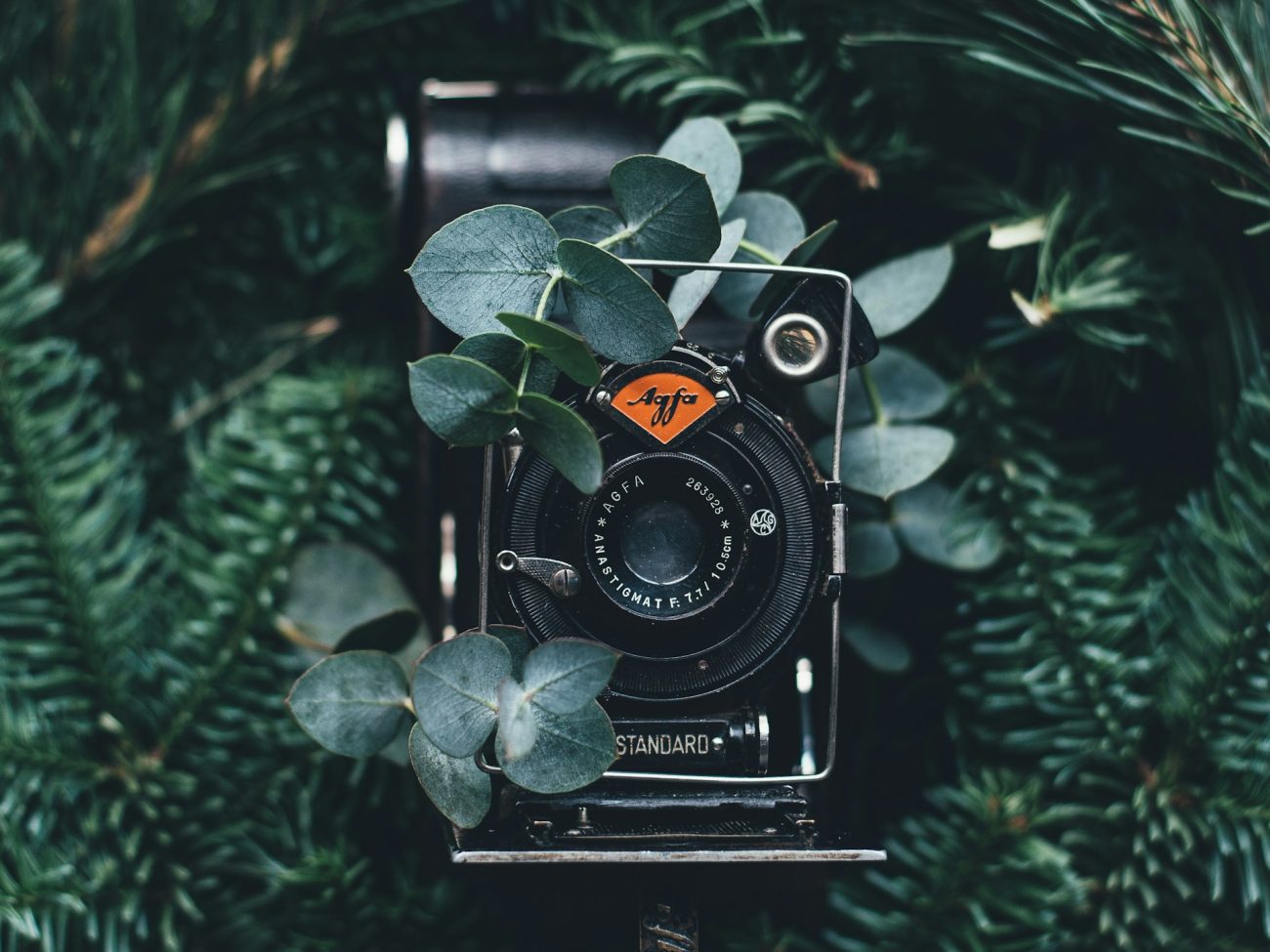 The Art of Capturing Moments: A Photographer’s Guide to Essential Equipment